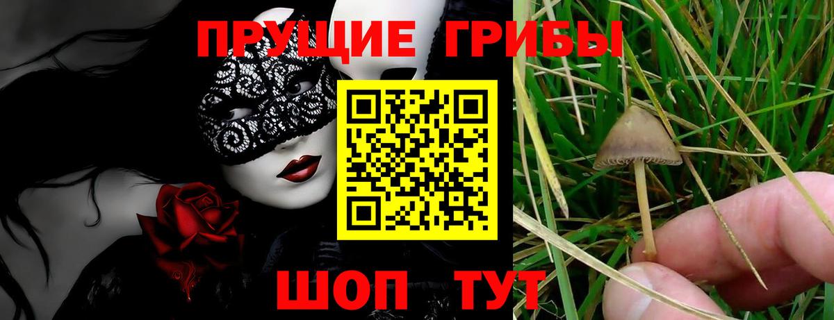 Псилоцибиновые грибы Magic Shrooms Рязань